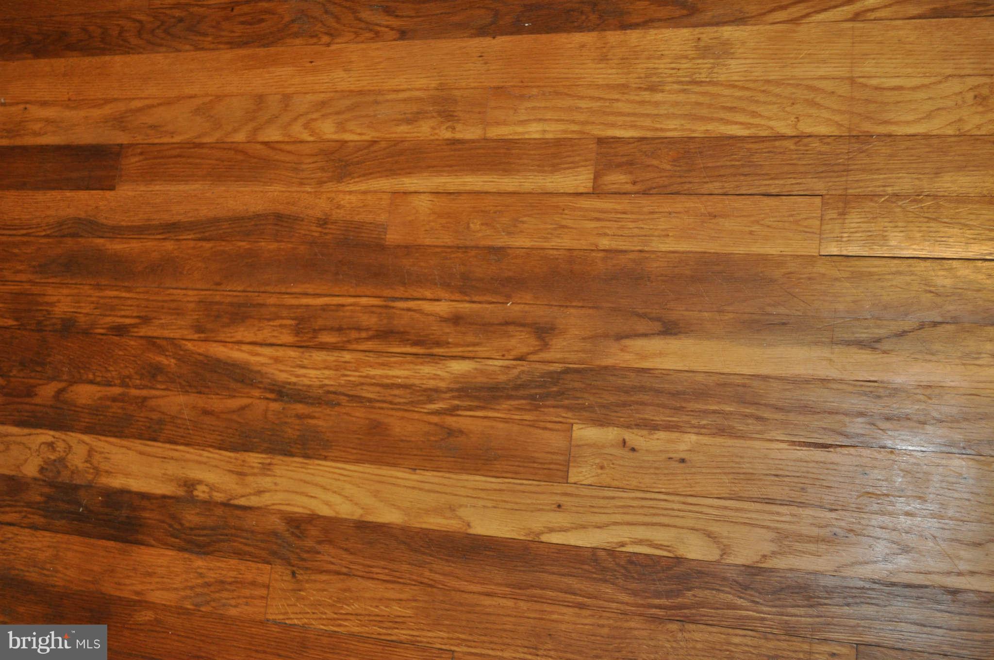 3333 Garnet Road Baltimore, MD 21234 - Photo 5 of 21 Interior General