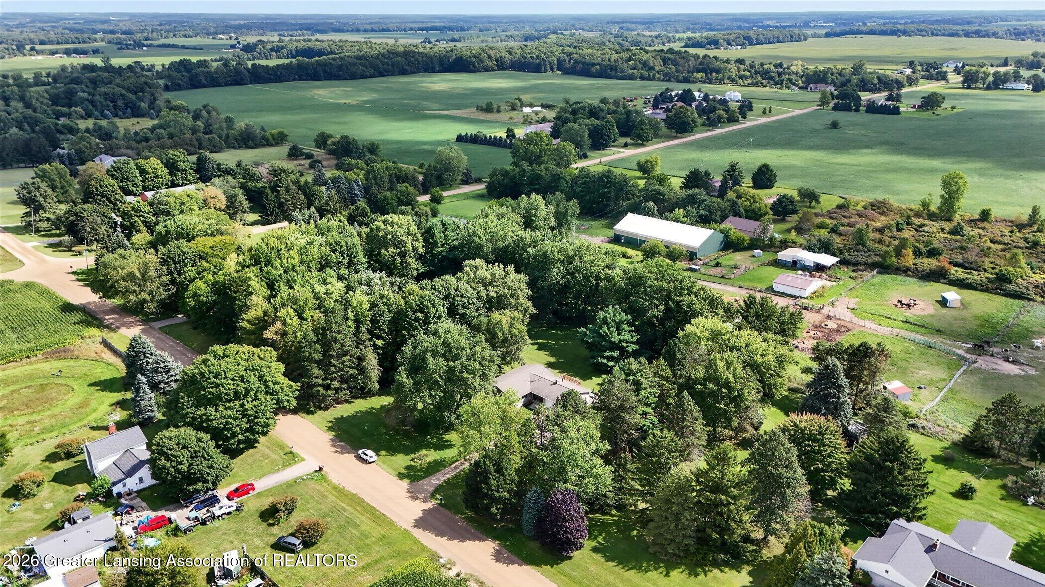 11131 South Lowell Road Dewitt, MI 48820 - Photo 48 of 60 Aerial View