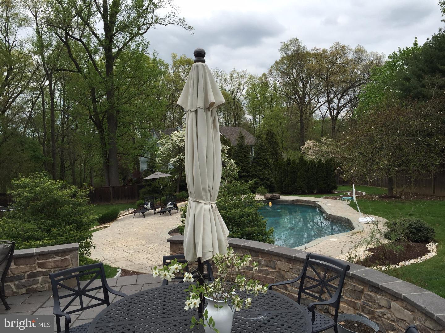 239 E Road Doylestown, PA 18901 - Photo 3 of 25 Pool