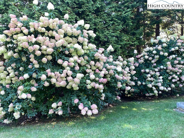 438 Glade Valley Road Glade Valley, NC 28627 - Photo 50 of 50