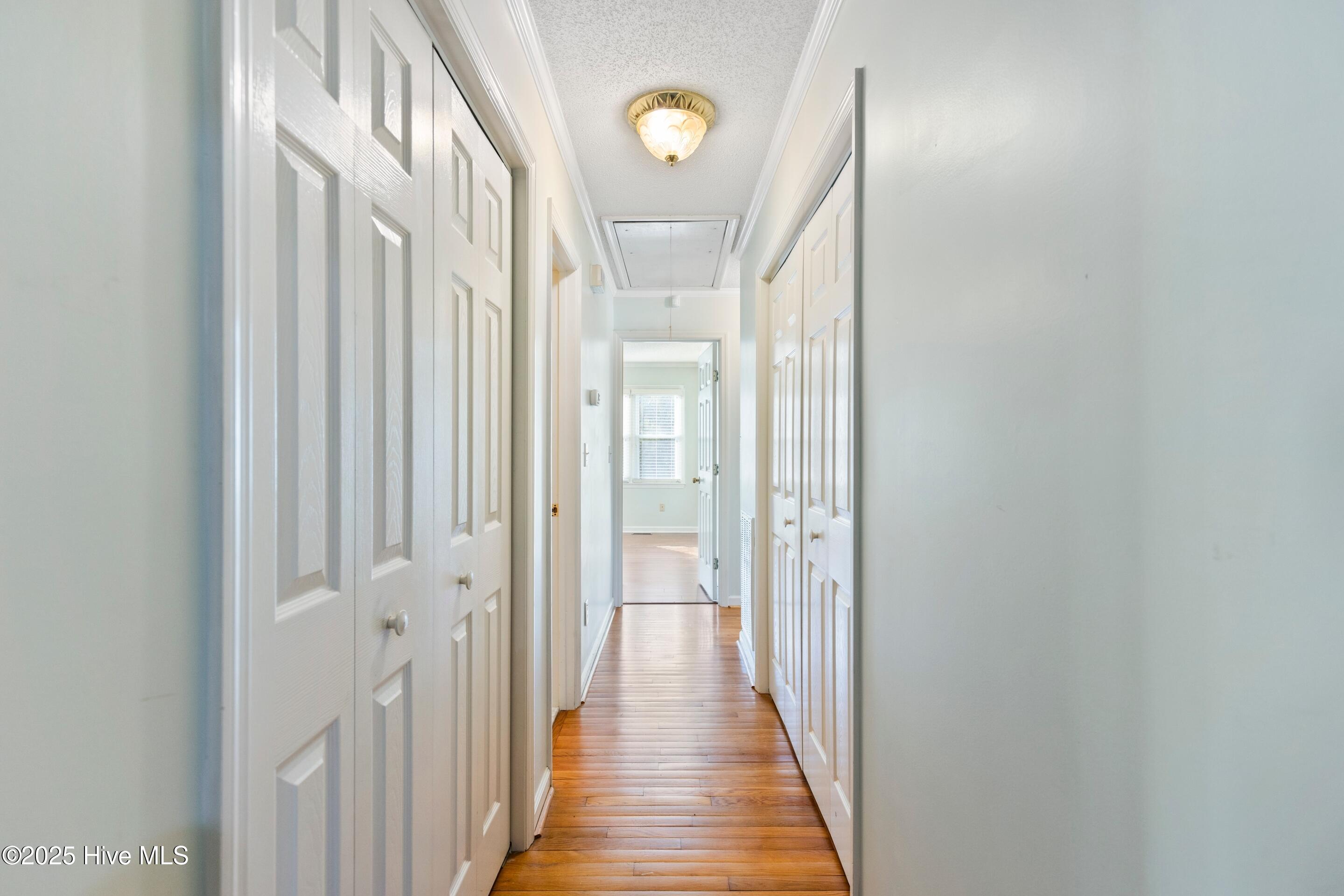 1501 Field View Road Wilmington, NC 28411 - Photo 28 of 57 Hallway leading 3 bedrooms.