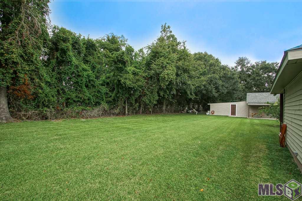 13109 Templet Road St. Amant, LA 70774 - Photo 29 of 34 rear yard