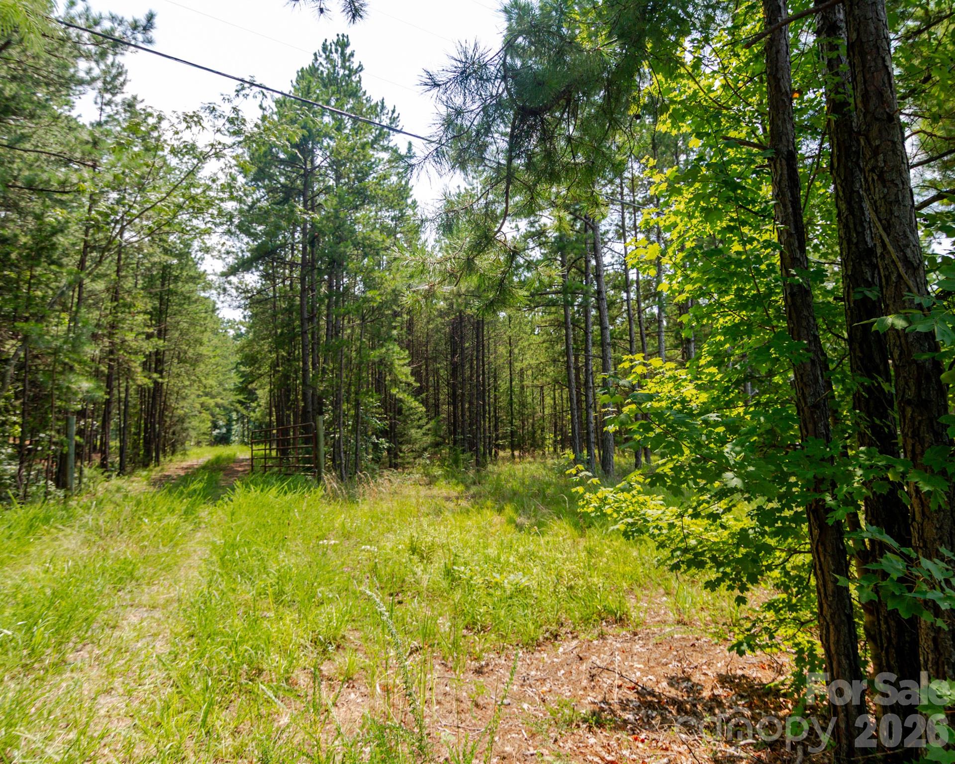 2682 Cold Springs Road Concord, NC 28025 - Photo 11 of 14 Gallery Image 11