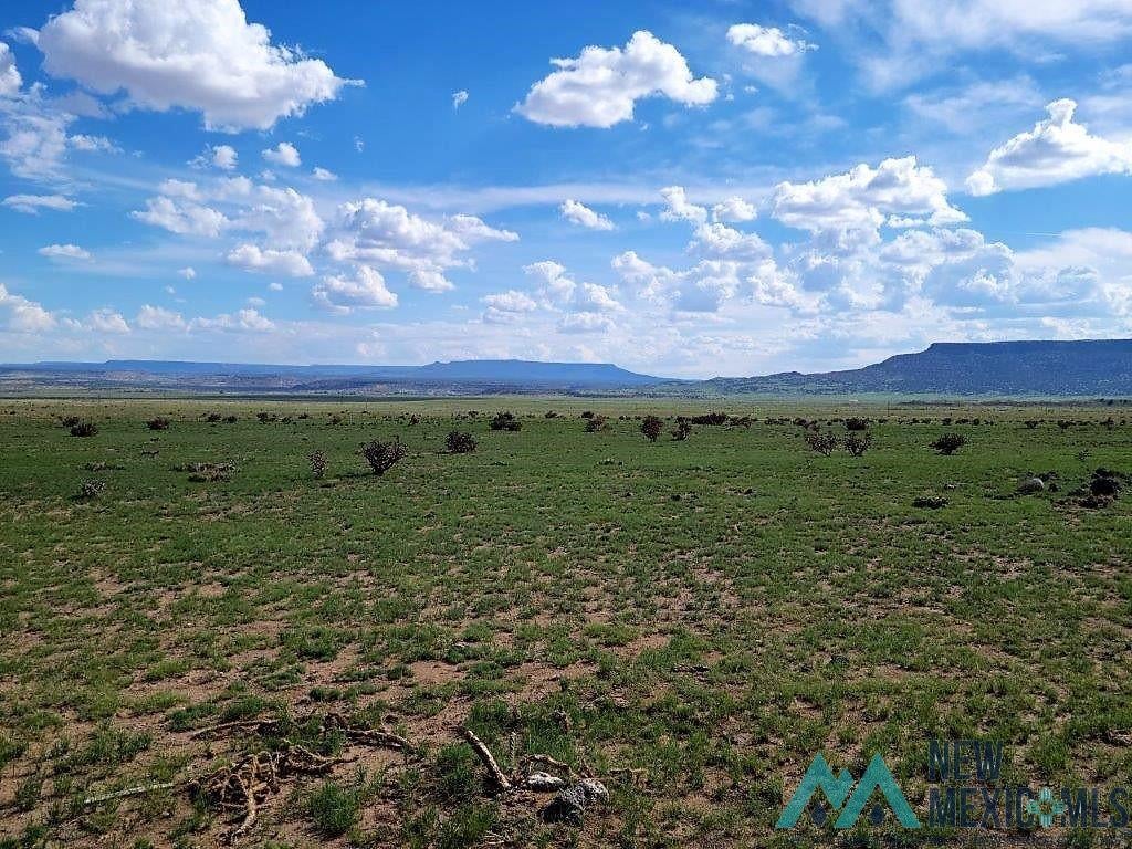 Tbd Rinconada Road San Fidel, NM 87049 - Photo 24 of 40