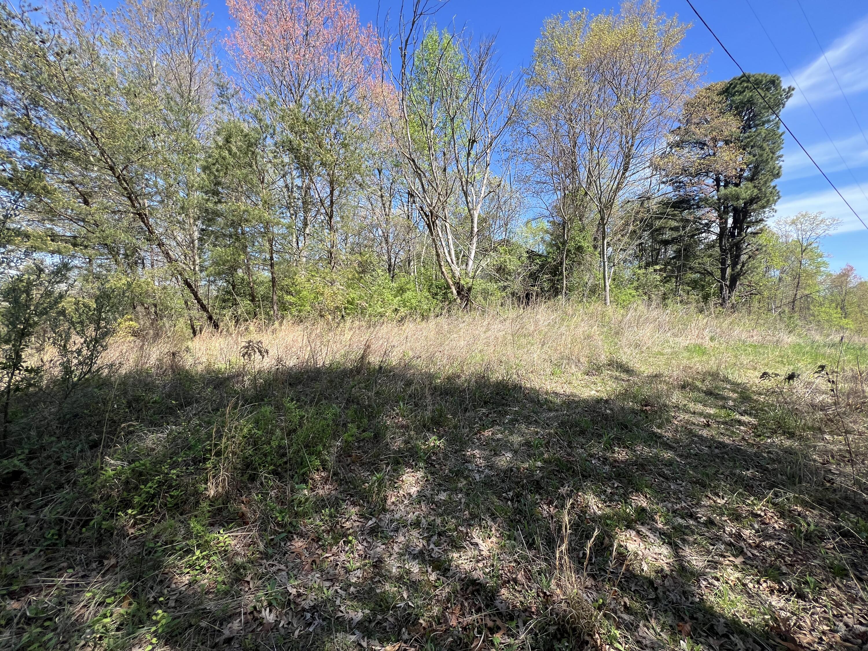 1301-tbd Minor Road West Liberty, KY 41472 - Photo 7 of 15 Photo Apr 18, 12 01 39 PM