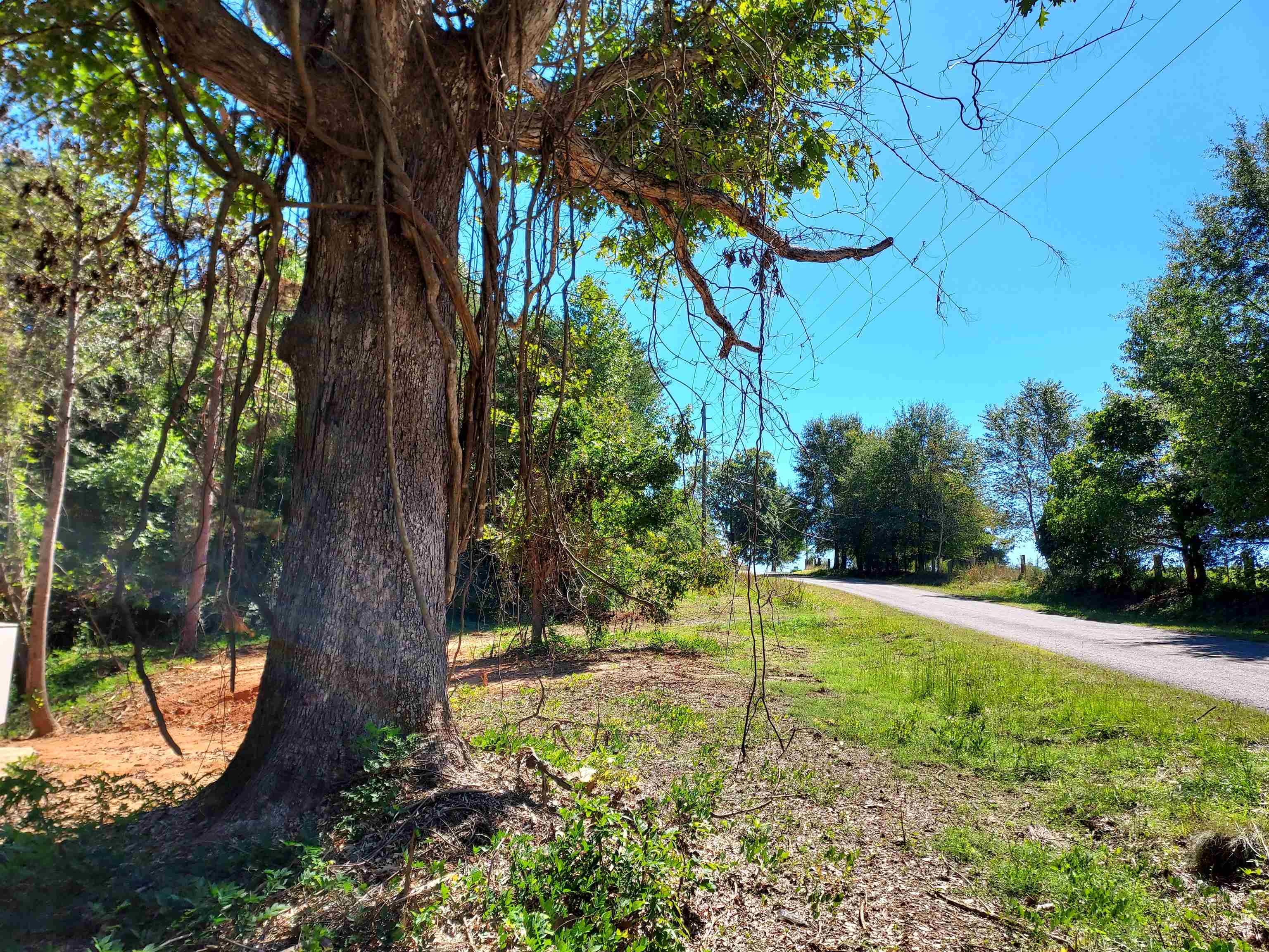 211 South Greenway Road Tryon, NC 28782 - Photo 1 of 12
