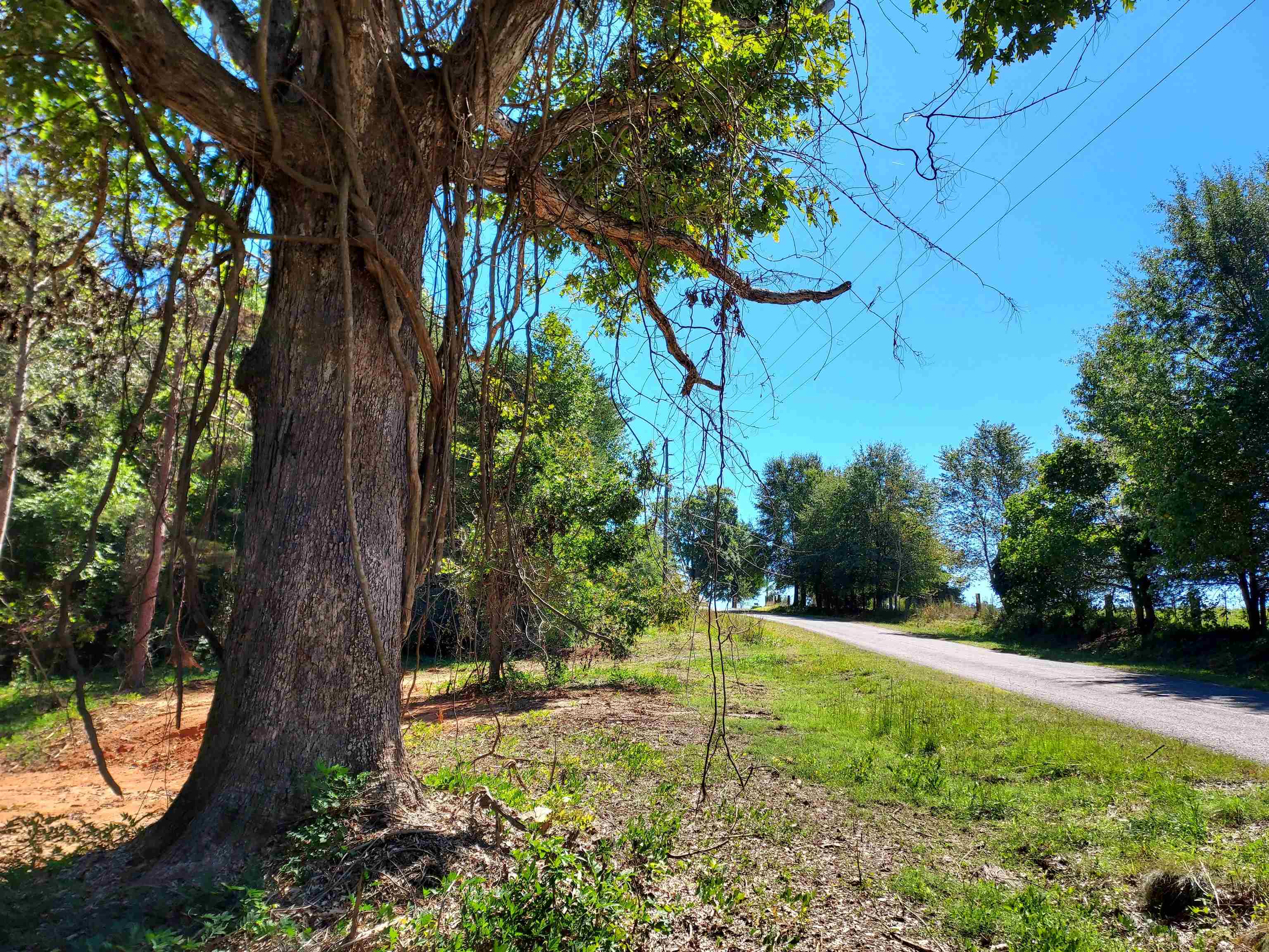 211 South Greenway Road Tryon, NC 28782 - Photo 2 of 12