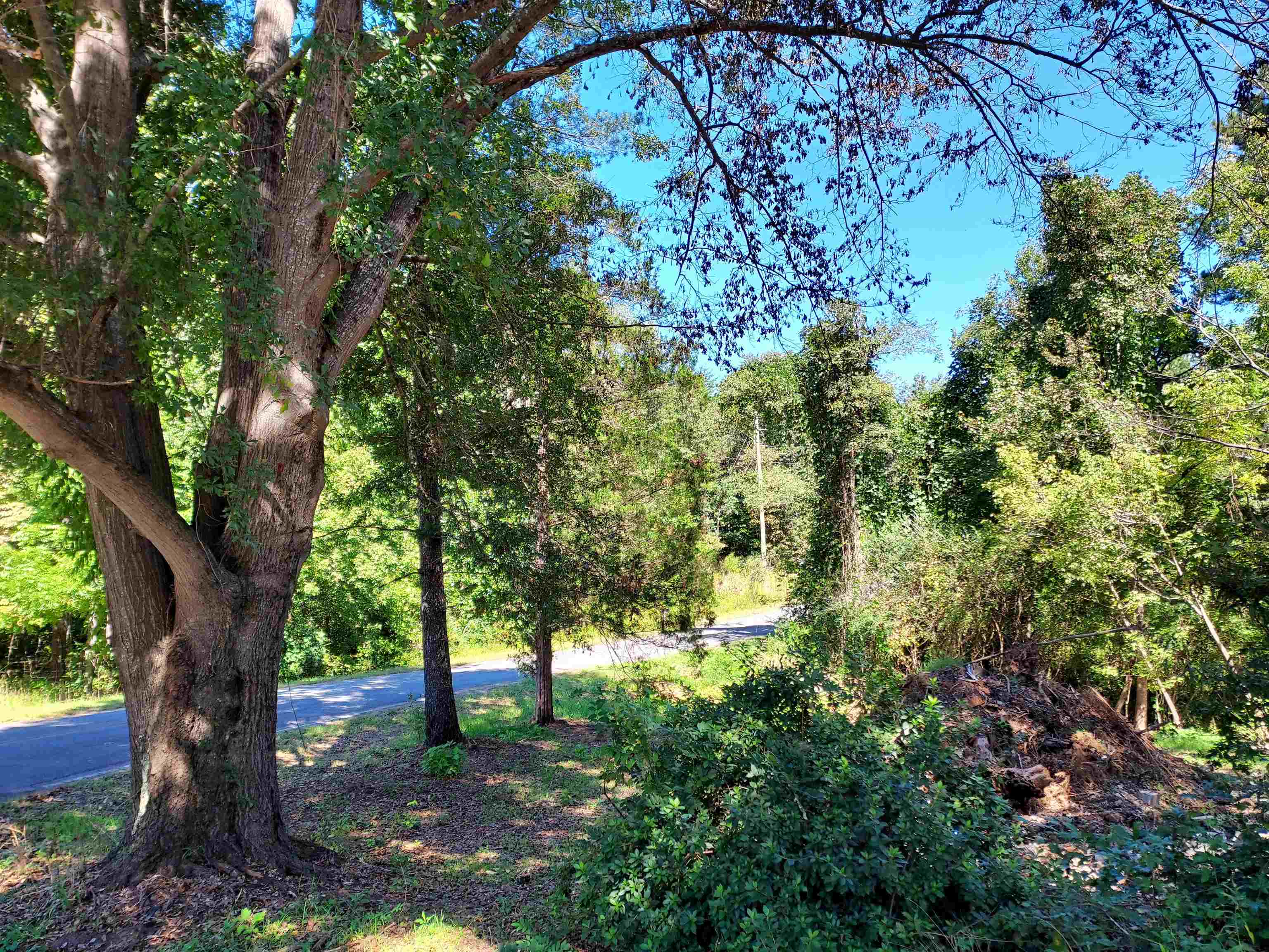 211 South Greenway Road Tryon, NC 28782 - Photo 3 of 12