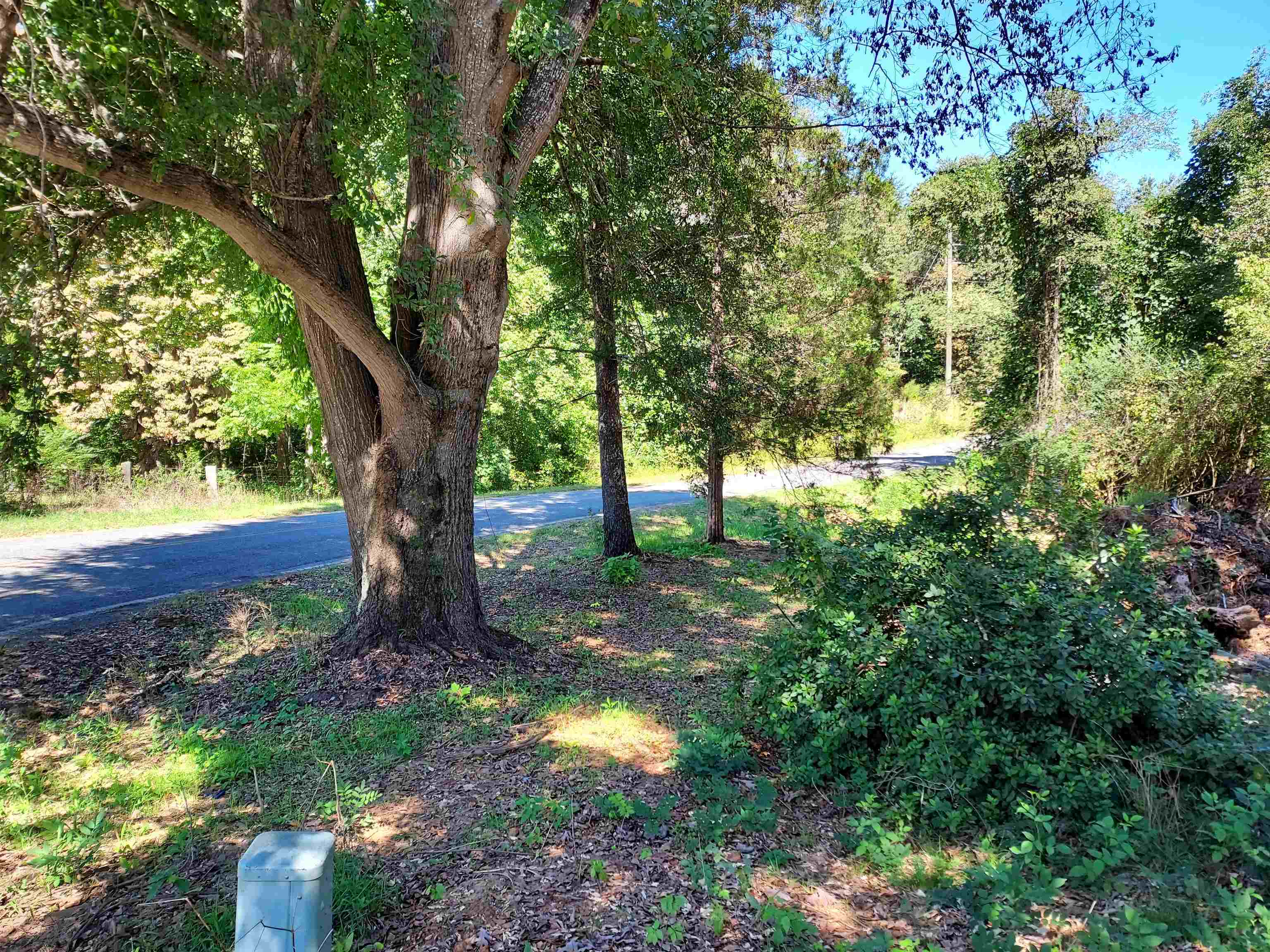 211 South Greenway Road Tryon, NC 28782 - Photo 4 of 12