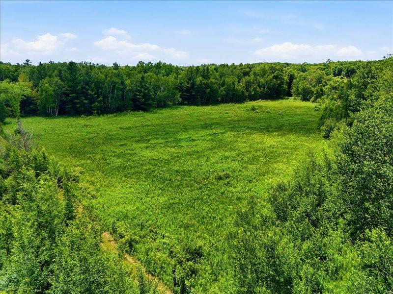 Tbd Ivy Road Milaca, MN 56353 - Photo 4 of 13