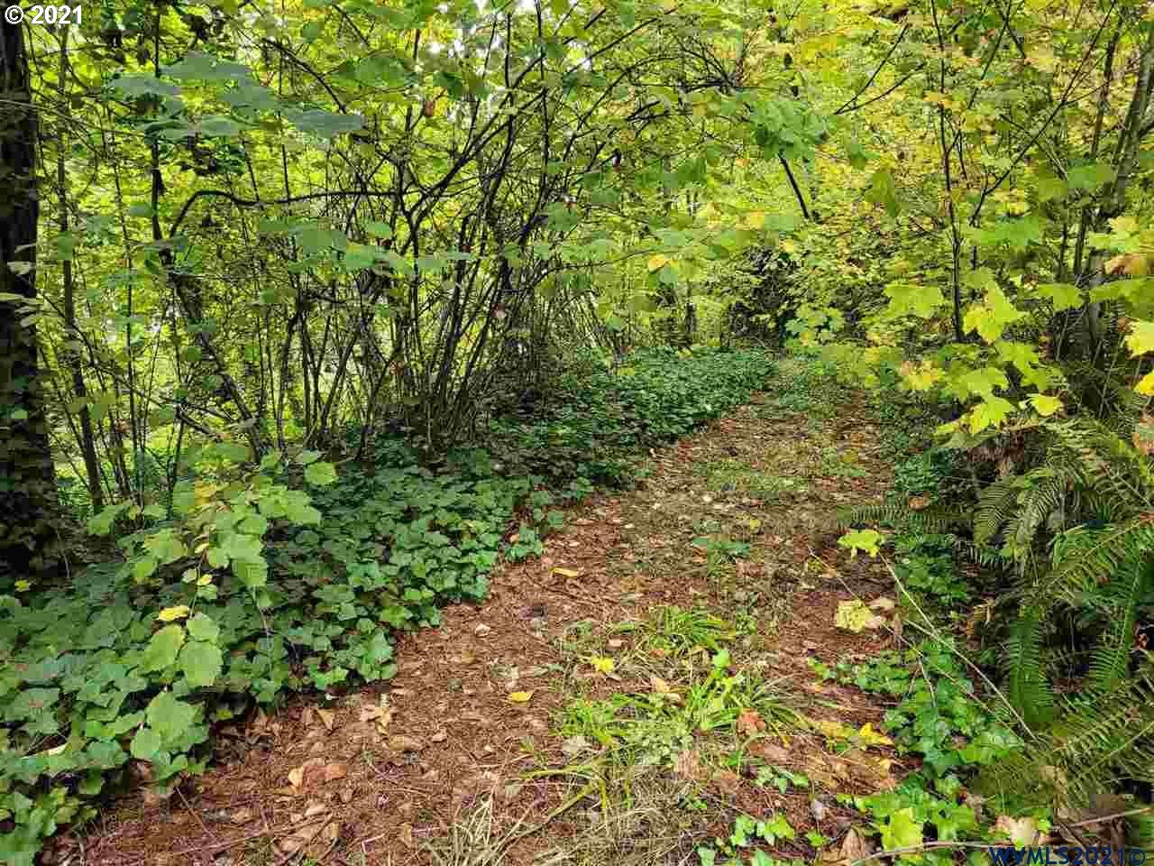 28133 Riggs Hill Road Foster, OR 97345 - Photo 1 of 7 Gallery Image 1