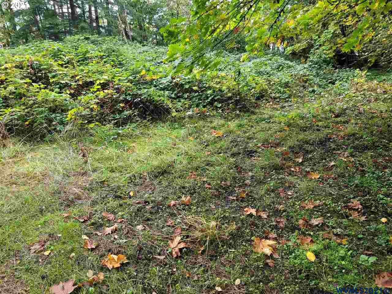 28133 Riggs Hill Road Foster, OR 97345 - Photo 3 of 7 Gallery Image 3