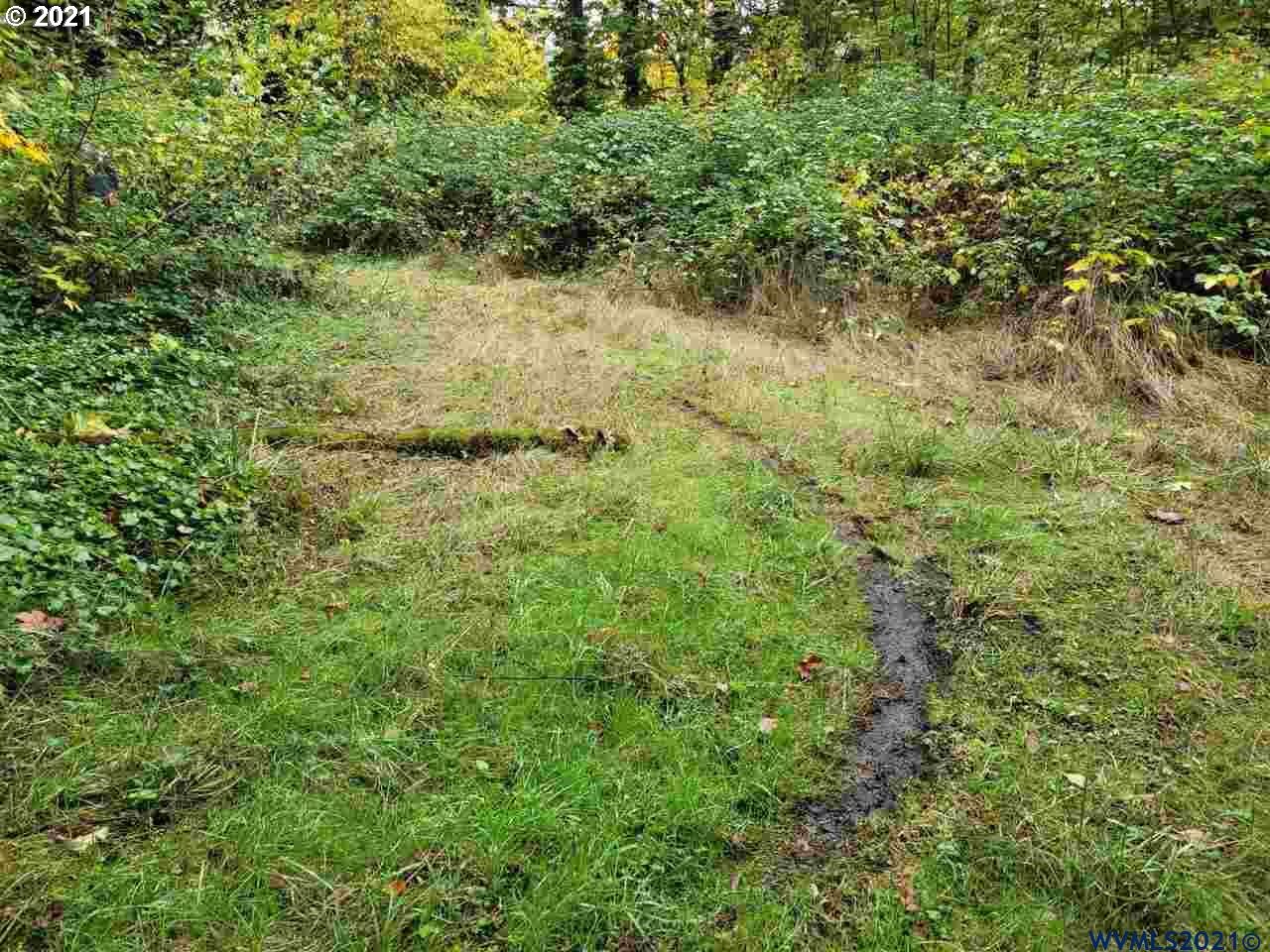 28133 Riggs Hill Road Foster, OR 97345 - Photo 4 of 7 Gallery Image 4