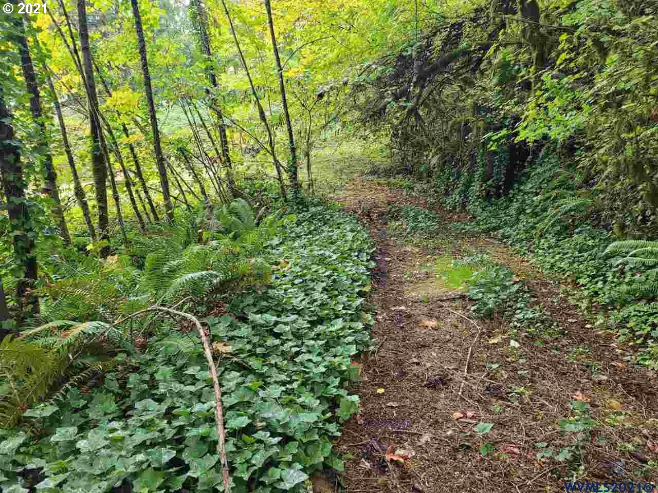28133 Riggs Hill Road Foster, OR 97345 - Photo 5 of 7 Gallery Image 5