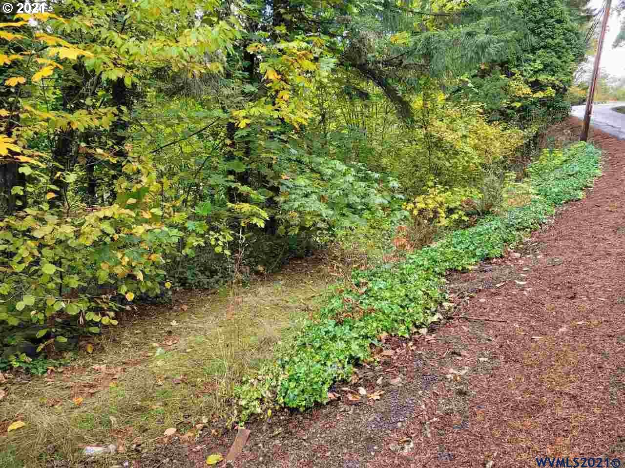 28133 Riggs Hill Road Foster, OR 97345 - Photo 6 of 7 Gallery Image 6