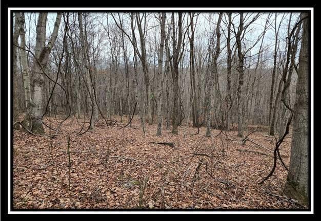 0 Black Run Road, Unit TRACT 8) Chillicothe, OH 45601 - Photo 20 of 47 image020