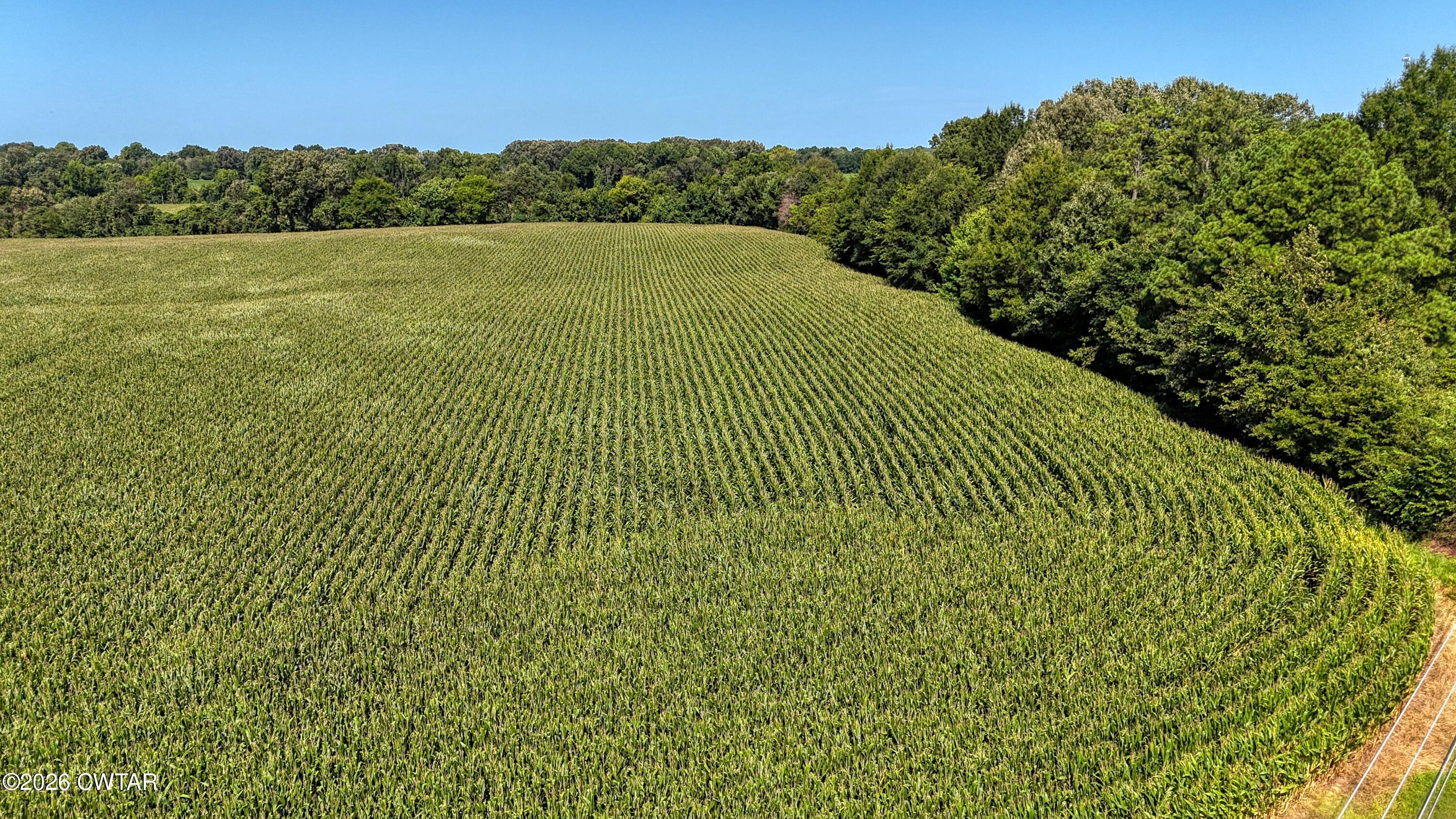 0 Old Dyer Rutherford Road Dyer, TN 38330 - Photo 9 of 11 DJI_20260723102313_0008_D