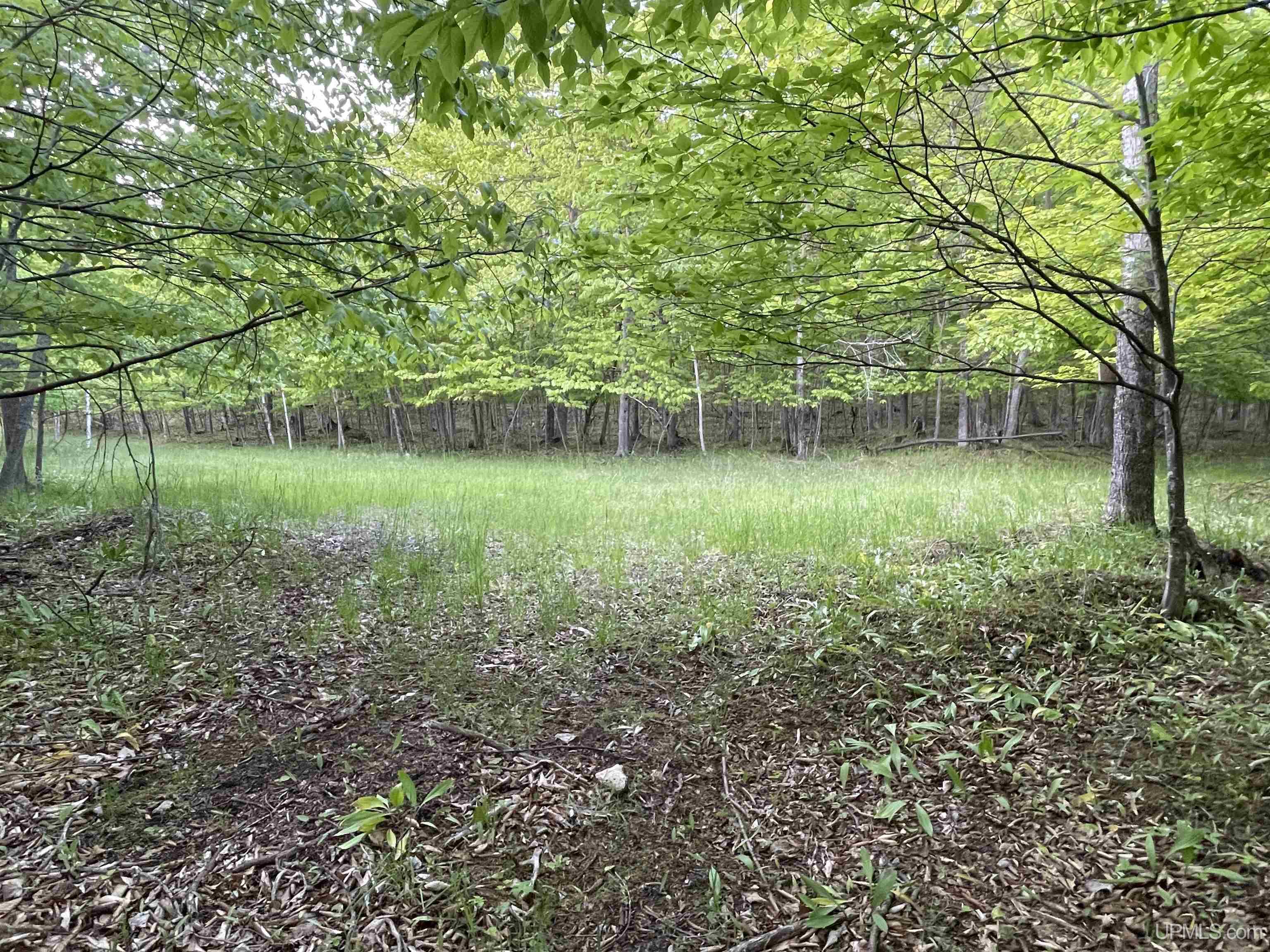 9.5 9.5 Road Gladstone, MI 49837 - Photo 2 of 61