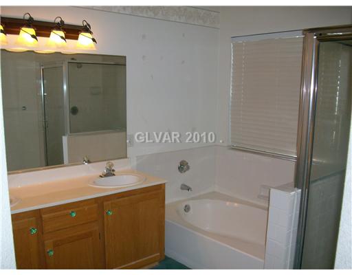 5243 Ladyhawk Way Las Vegas, NV 89118 - Photo 13 of 17 Master Bath/Spa.