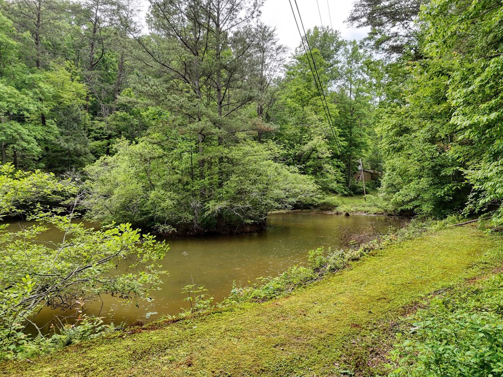562 New Hope Club Road Ellijay, GA 30540 - Photo 34 of 49