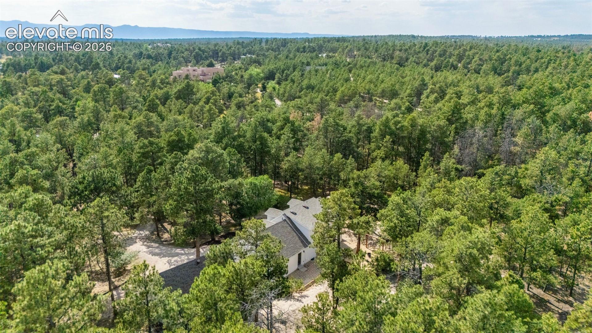 11665 Greentree Road Colorado Springs, CO 80908 - Photo 43 of 43 Bird's eye view of a heavily wooded area
