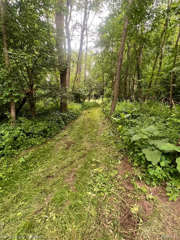 0 Ducker Road Marlette, MI 48453 - Photo 8 of 44
