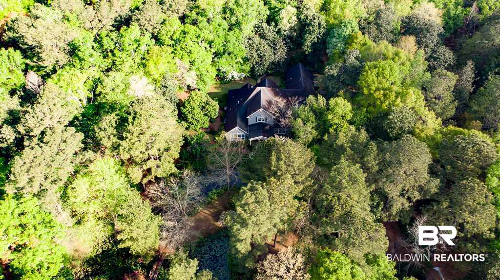 3360 Riverview Pointe Drive Theodore, AL 36582 - Photo 41 of 46