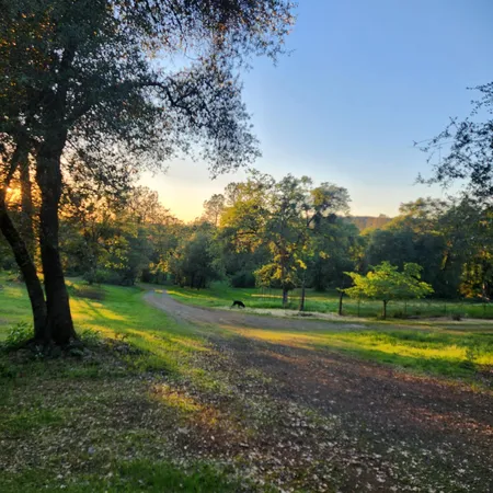 $425,000 | 11541 Hernandos Hideaway, Penn Valley, CA 95946