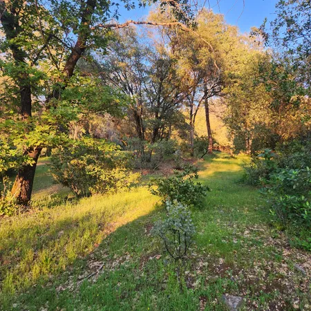 a view of yard covered with green space