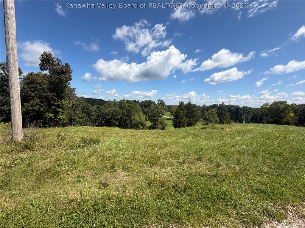 17407 Derricks Creek Road Charleston, WV 25320 - Photo 2 of 10 Gallery Image 2