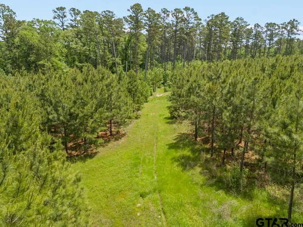 $525,000 | 1193 Cowpen Road, Karnack, TX 75661