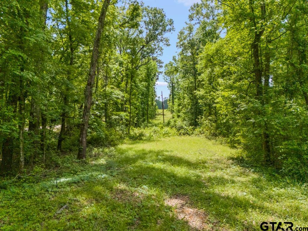 1193 Cowpen Road Karnack, TX 75661 - Photo 7 of 35