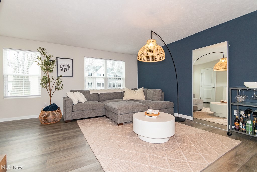 Living room featuring wood-type flooring