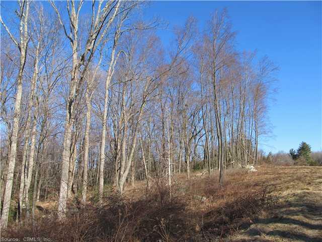 0 West Chippens Hill Road Burlington, CT 06013 - Photo 1 of 1 a view of under construction area