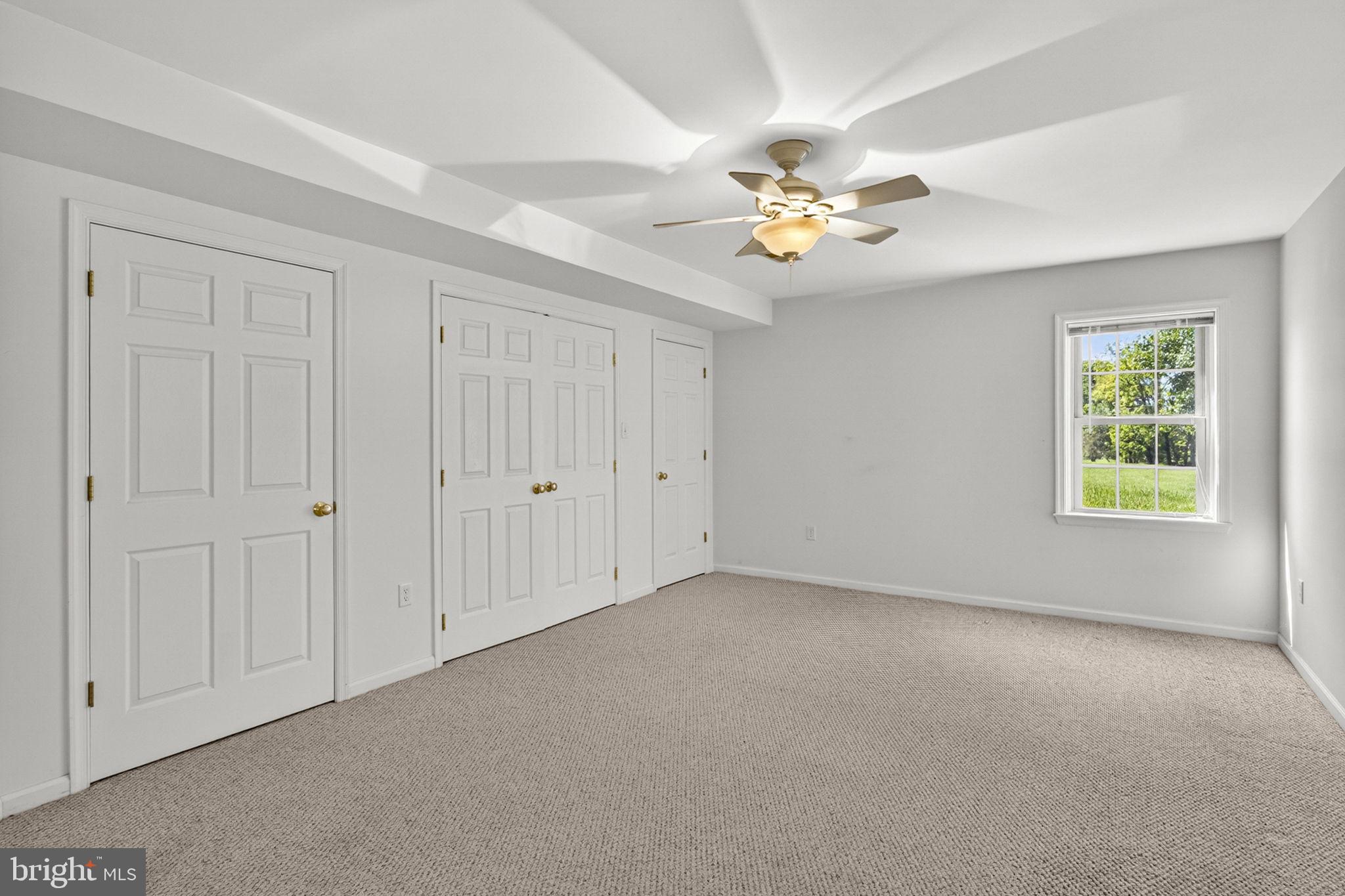 35130 Paxson Road Round Hill, VA 20141 - Photo 38 of 56 Lower Level Bedroom #4
