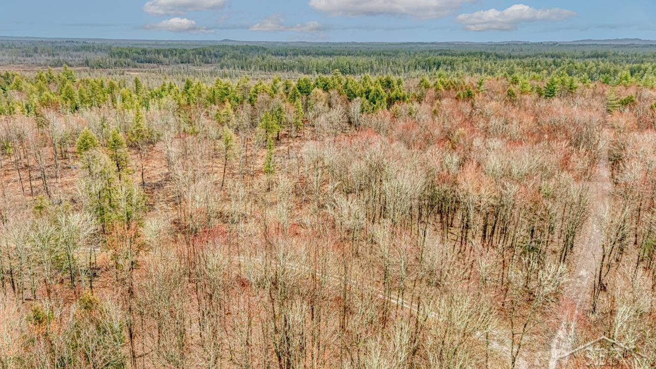 N948 Old Plank Road Wetmore, MI 49895 - Photo 1 of 26