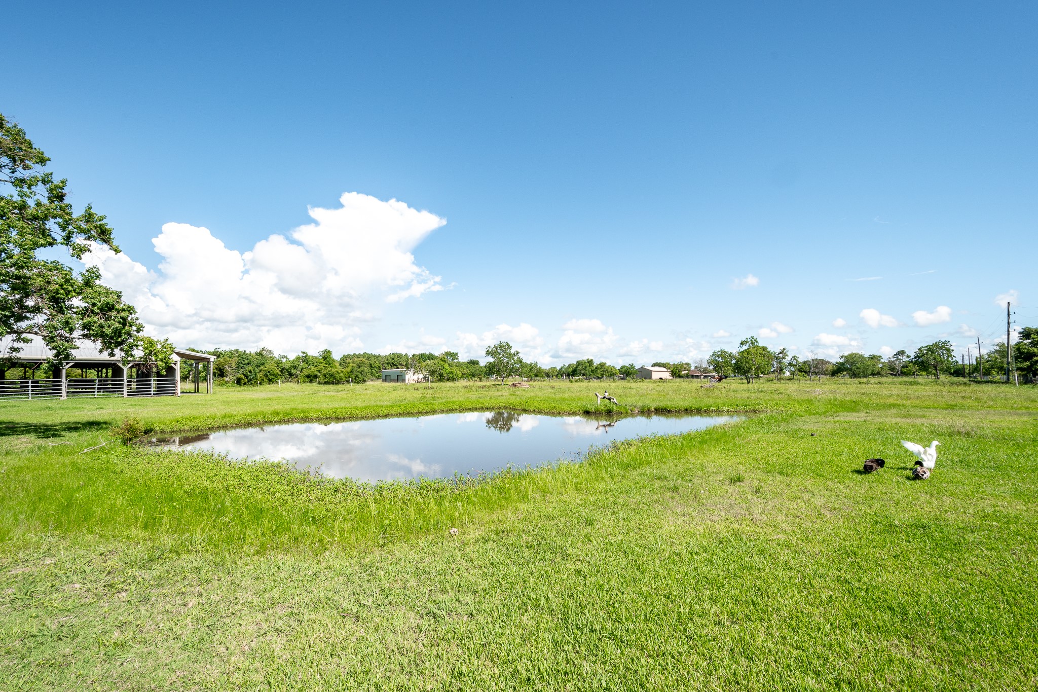 4821 Lawrence Road Baytown, TX 77523 - Photo 33 of 48