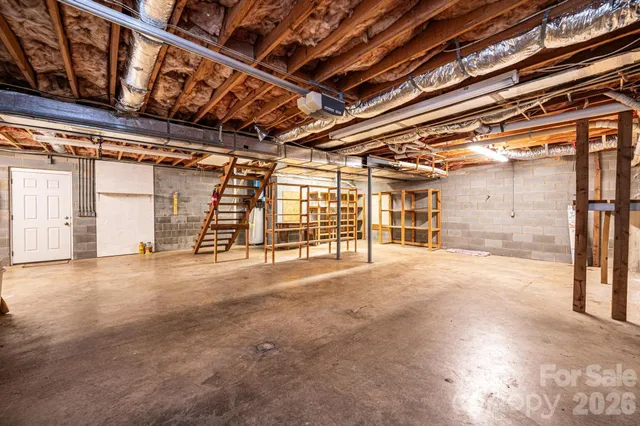 a street view with large trees