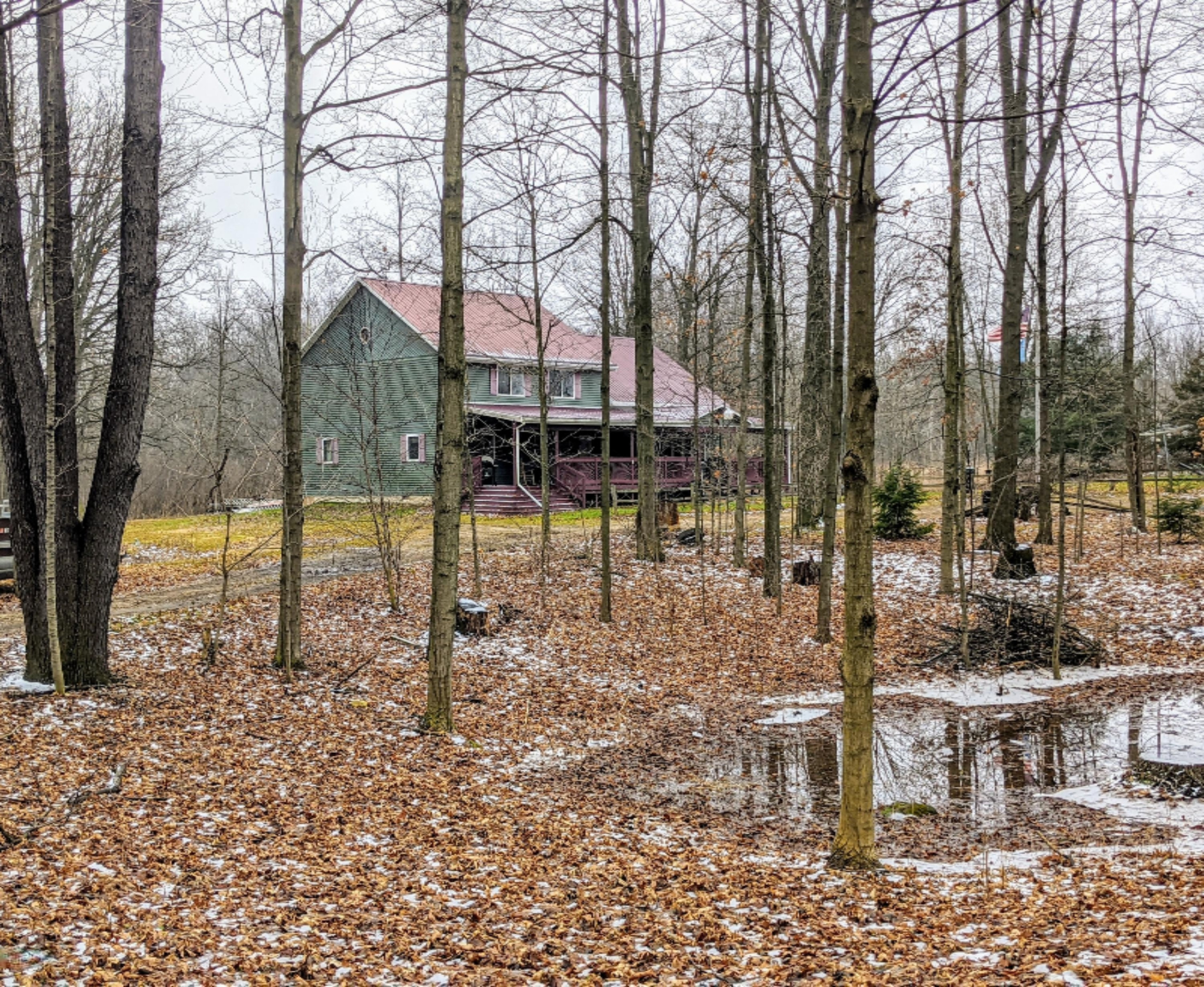 11415 Winfield Road Jonesville, MI 49250 - Photo 5 of 36 323E7C4F-9BAE-435C-868E-A3AAB115F176