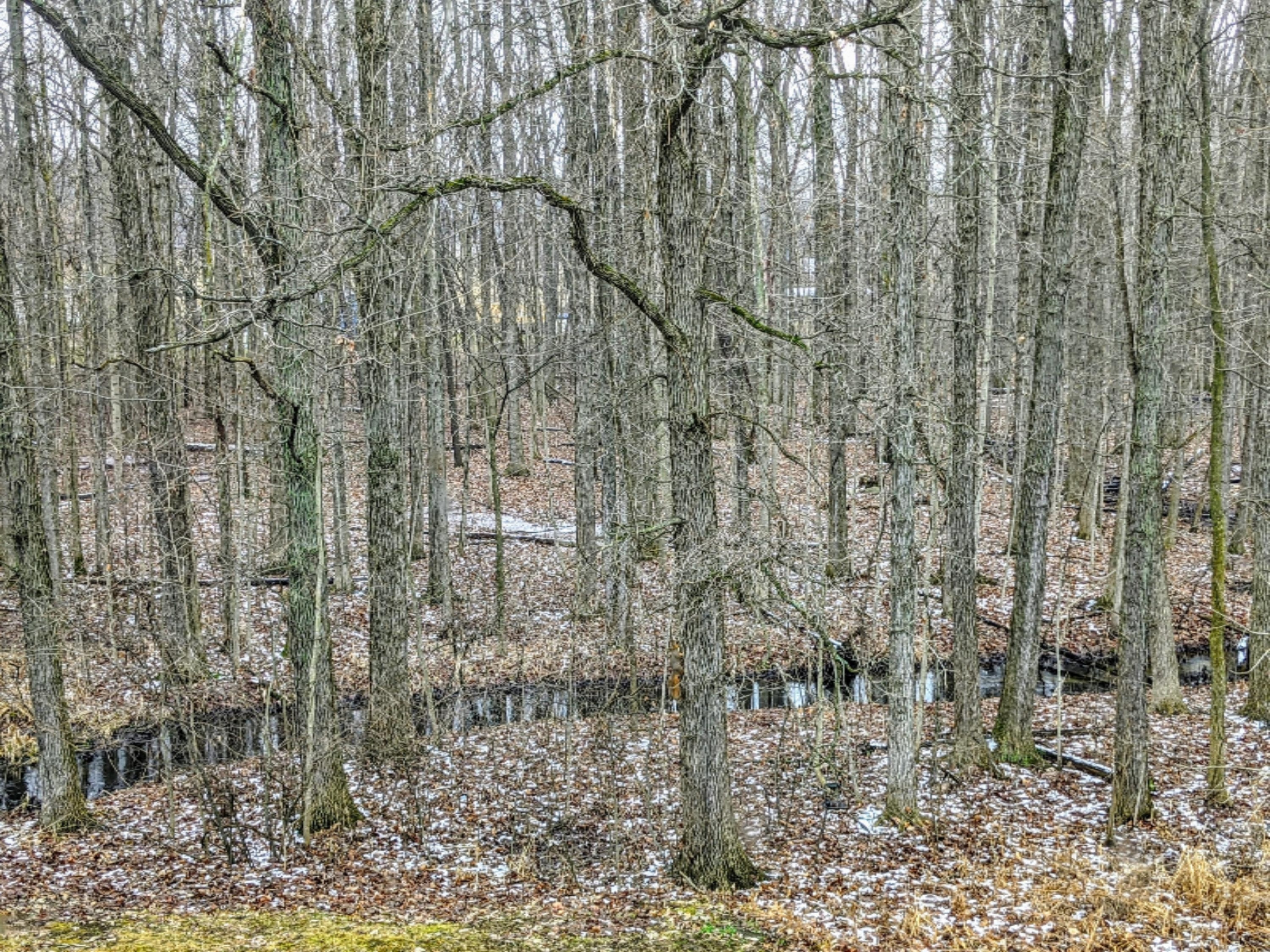 11415 Winfield Road Jonesville, MI 49250 - Photo 6 of 36 32C81E79-5967-4F30-A66A-3EB02C9BC657
