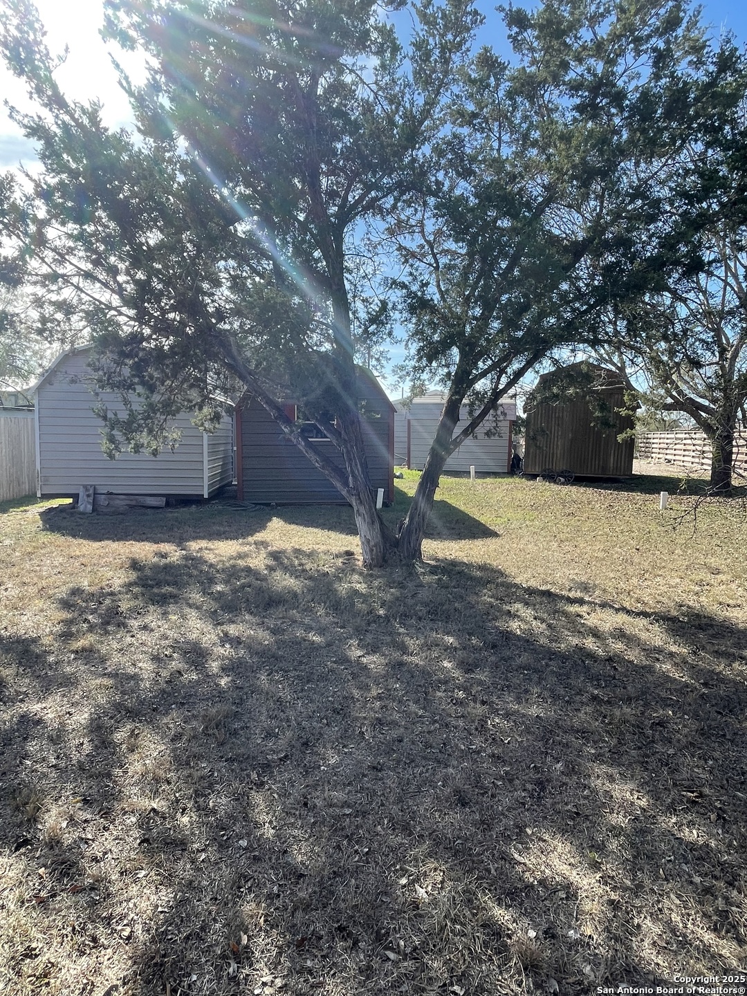 449 Mountain View Drive Bandera, TX 78003 - Photo 7 of 18 a view of a yard with a tree