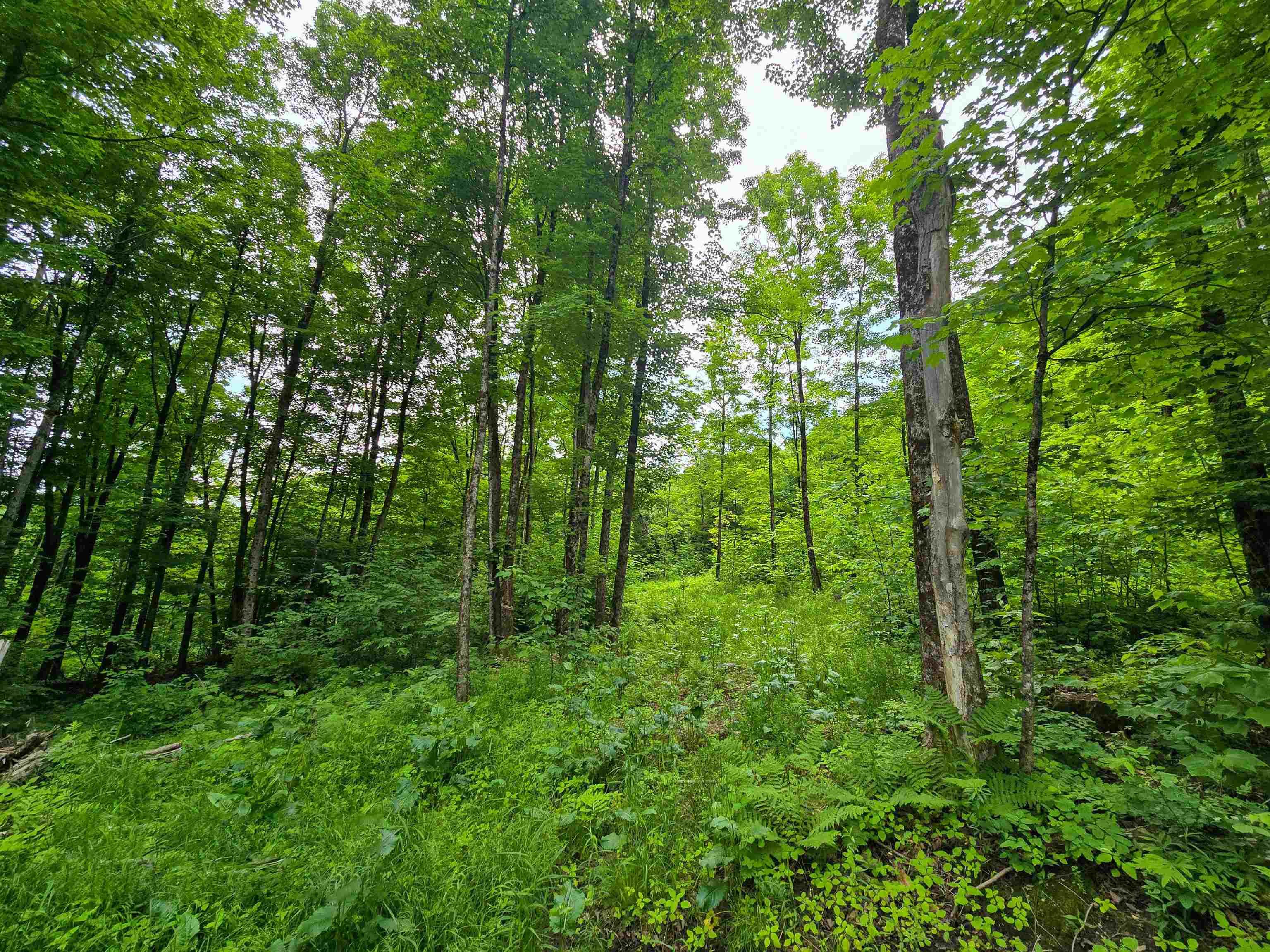 433 Wightman Hill Road Richford, VT 05476 - Photo 19 of 44