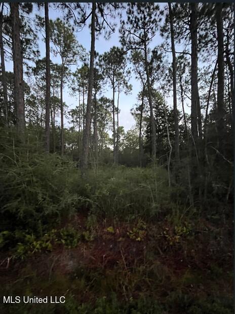 0 18th St Pass Pass Christian, MS 39571 - Photo 2 of 7 Screenshot 2025-10-09 071236