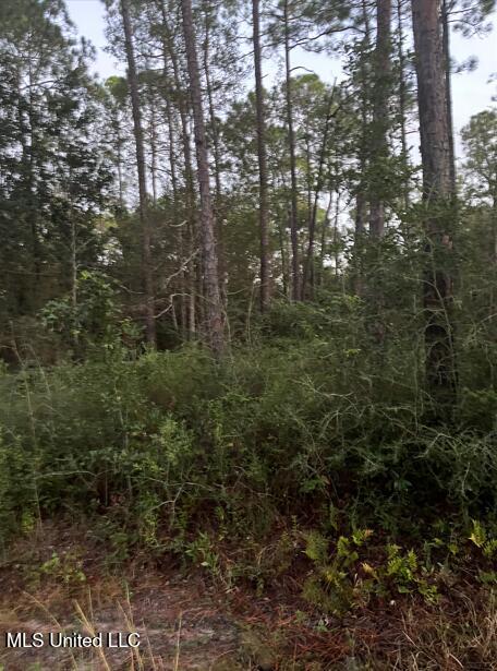 0 18th St Pass Pass Christian, MS 39571 - Photo 3 of 7 Screenshot 2025-10-09 071306