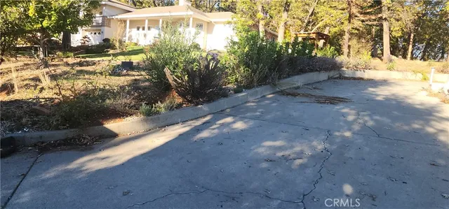 a view of a yard with trees