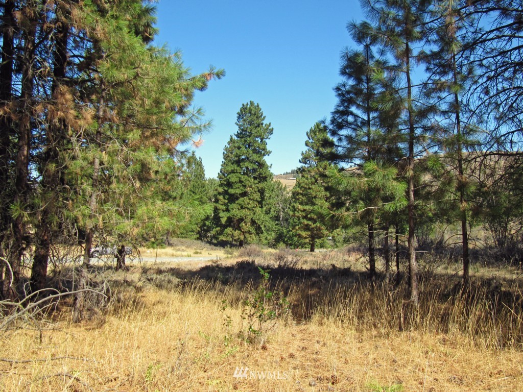 19 Sundown Road Winthrop, WA 98862 - Photo 2 of 5 Gallery Image 2