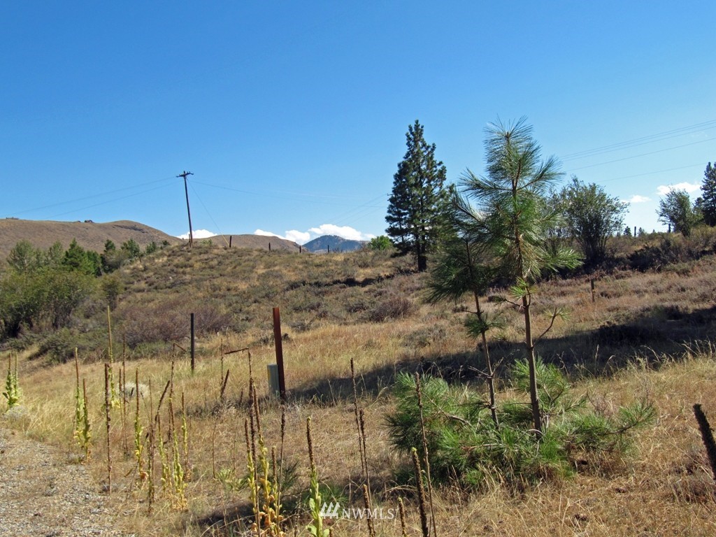 19 Sundown Road Winthrop, WA 98862 - Photo 3 of 5 Gallery Image 3