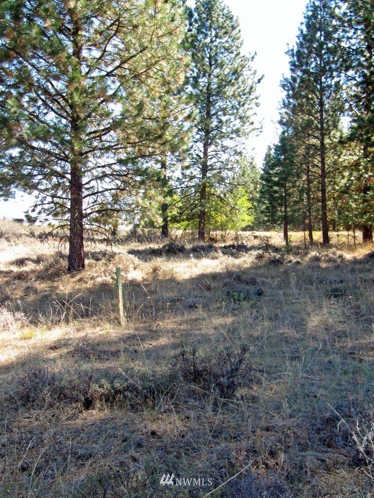 19 Sundown Road Winthrop, WA 98862 - Photo 4 of 5 Gallery Image 4