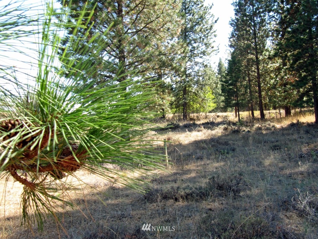 19 Sundown Road Winthrop, WA 98862 - Photo 5 of 5 Gallery Image 5