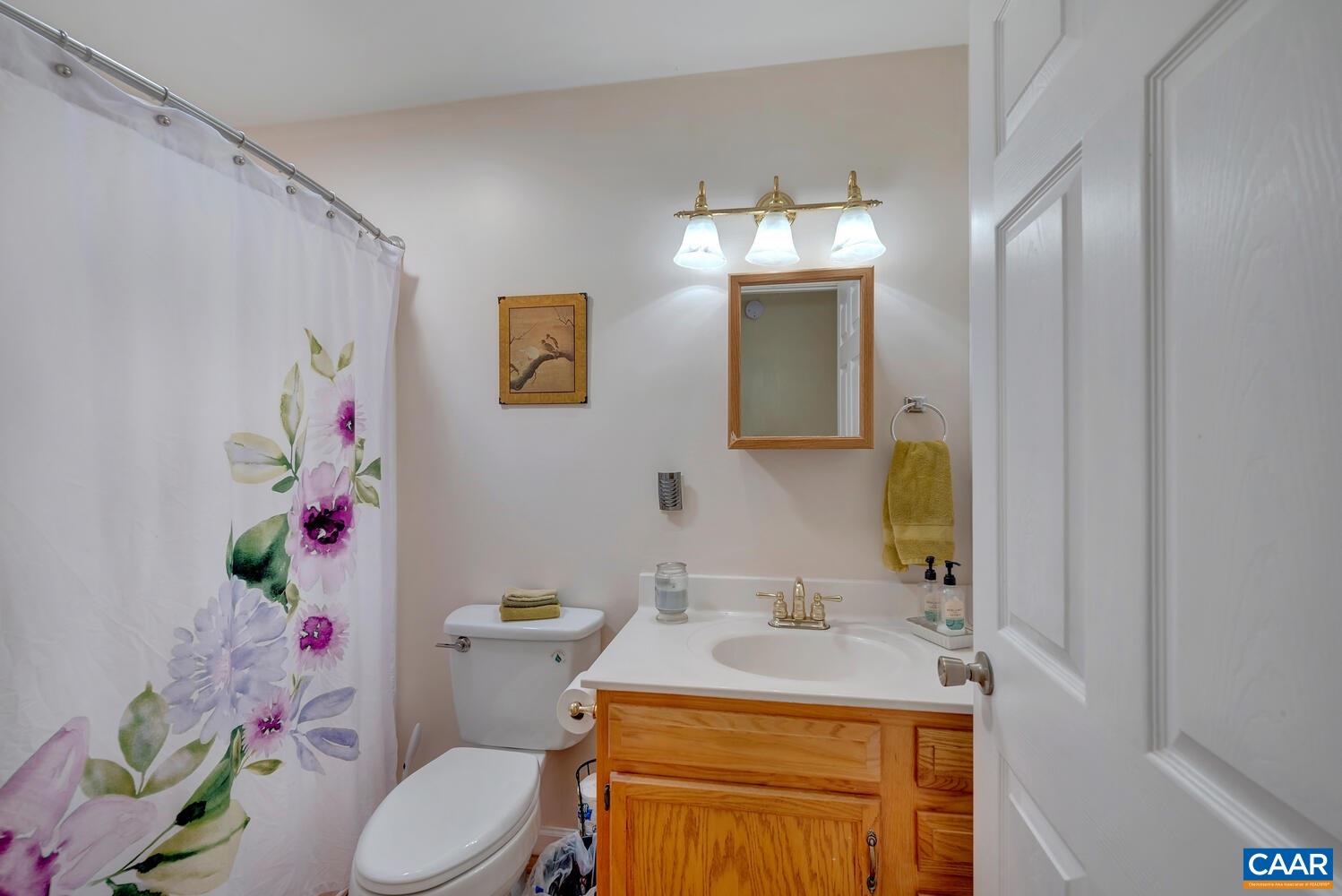 2850 Camp Spring Road Esmont, VA 22937 - Photo 17 of 35 a bathroom with a sink vanity mirror and toilet